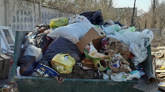 Жители Ростова самостоятельно отловили нелегальных возчиков мусора и сдали в полицию