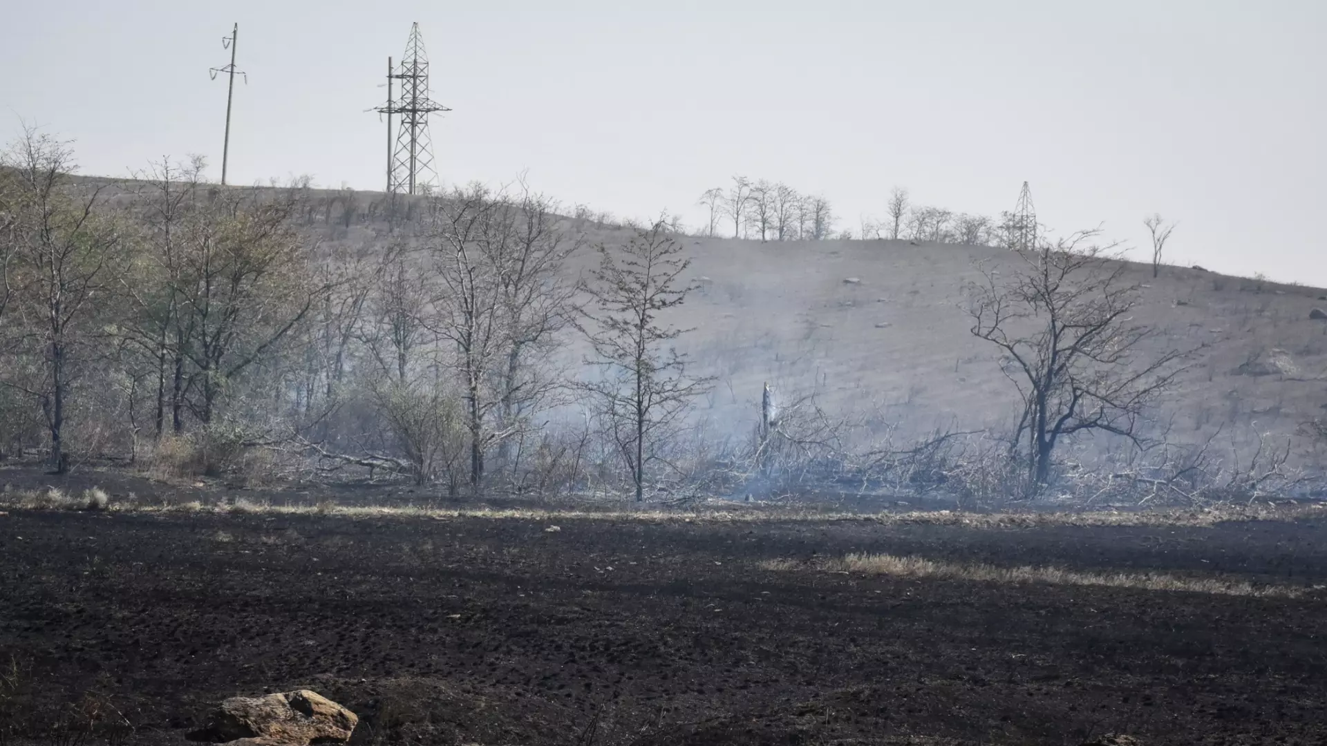 Лесные пожары прогнозируются в Ростовской области в ближайшие дни