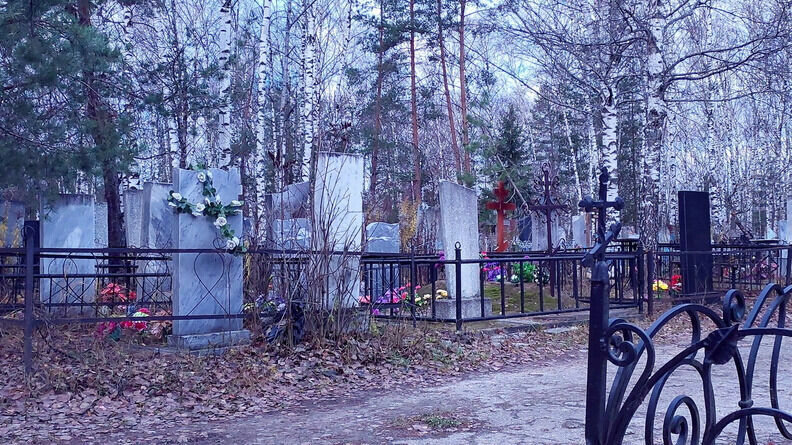 В Ростове опредили подрядчика, который займется уборкой Северного кладбища