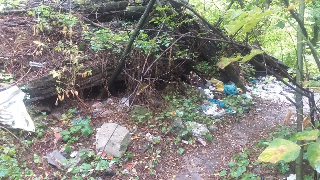 Ростовчане пожаловались, что водоохраняемая территория бывшего НСТ погрязла в мусоре