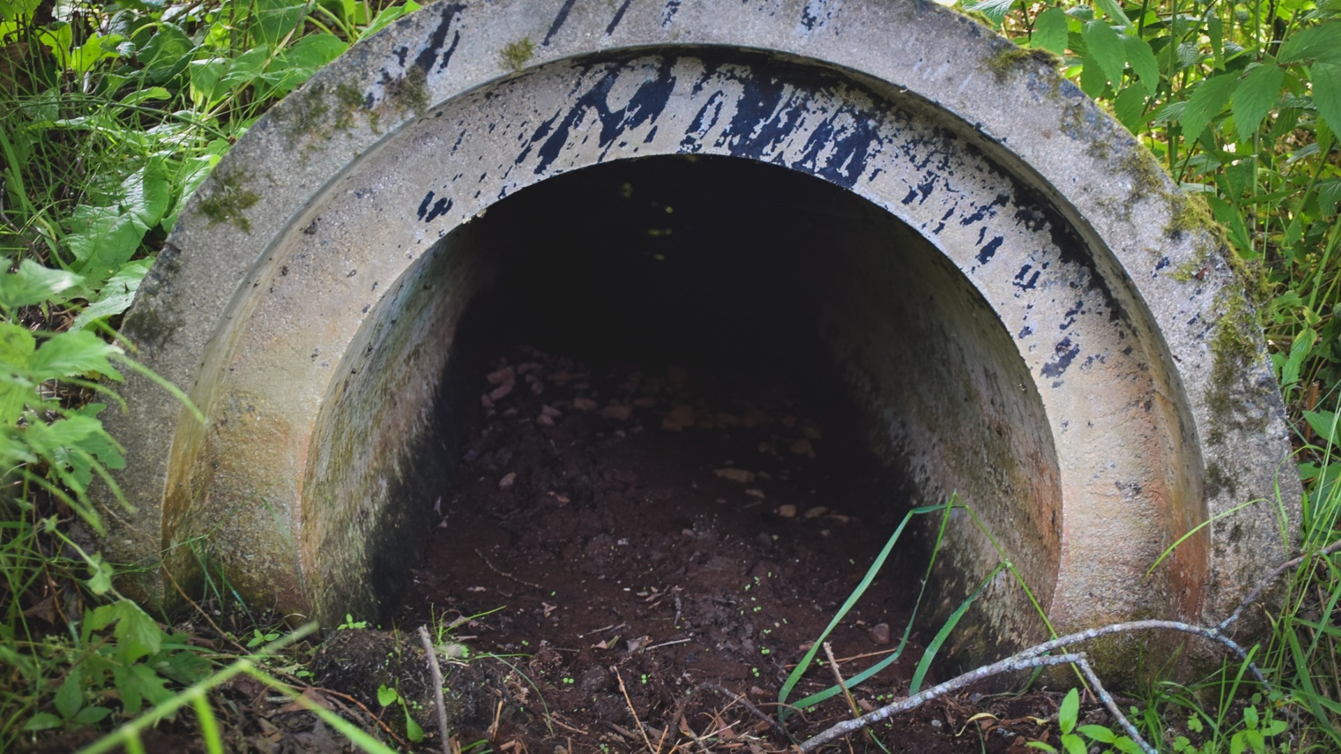 В Ростовского области коммунальщики сразились с «дементором», жившим в канализации
