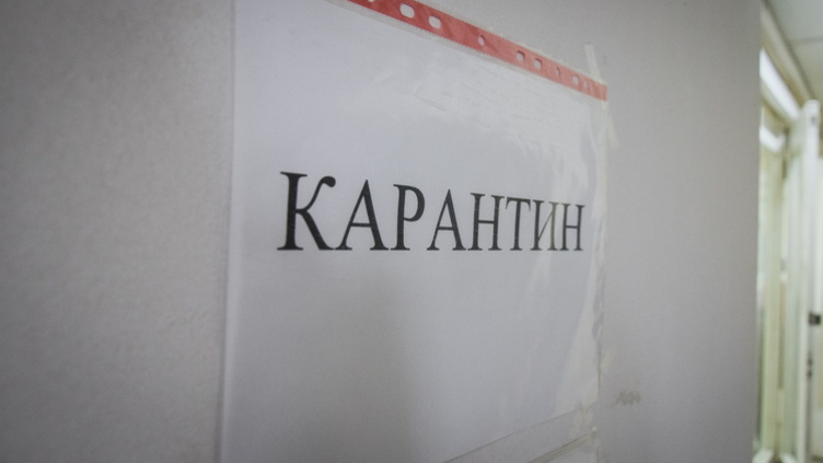 Власти заявили о возможном введении карантина в Ростовской области