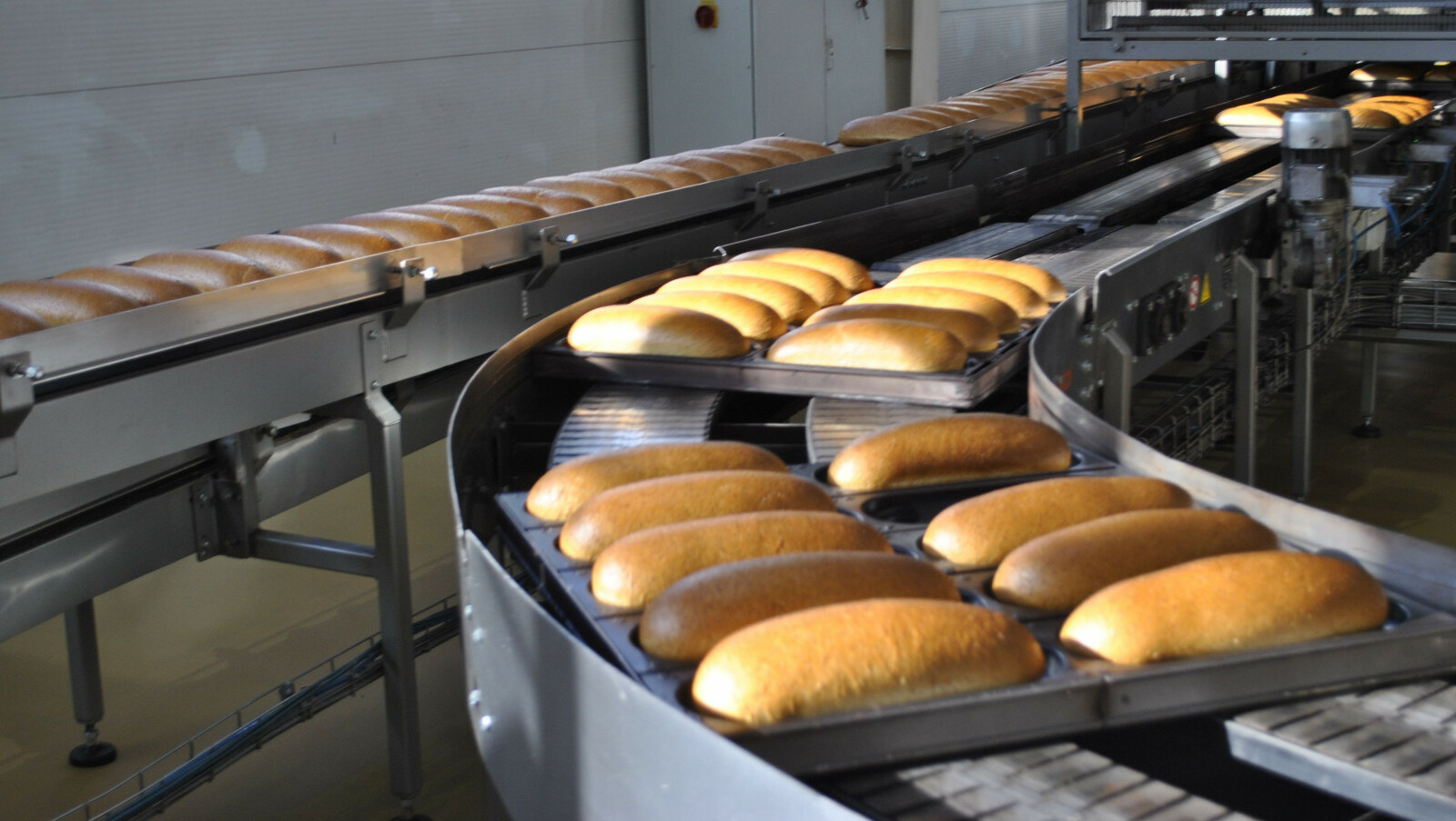 Экономист объяснил, почему подорожает хлеб в Ростовской области