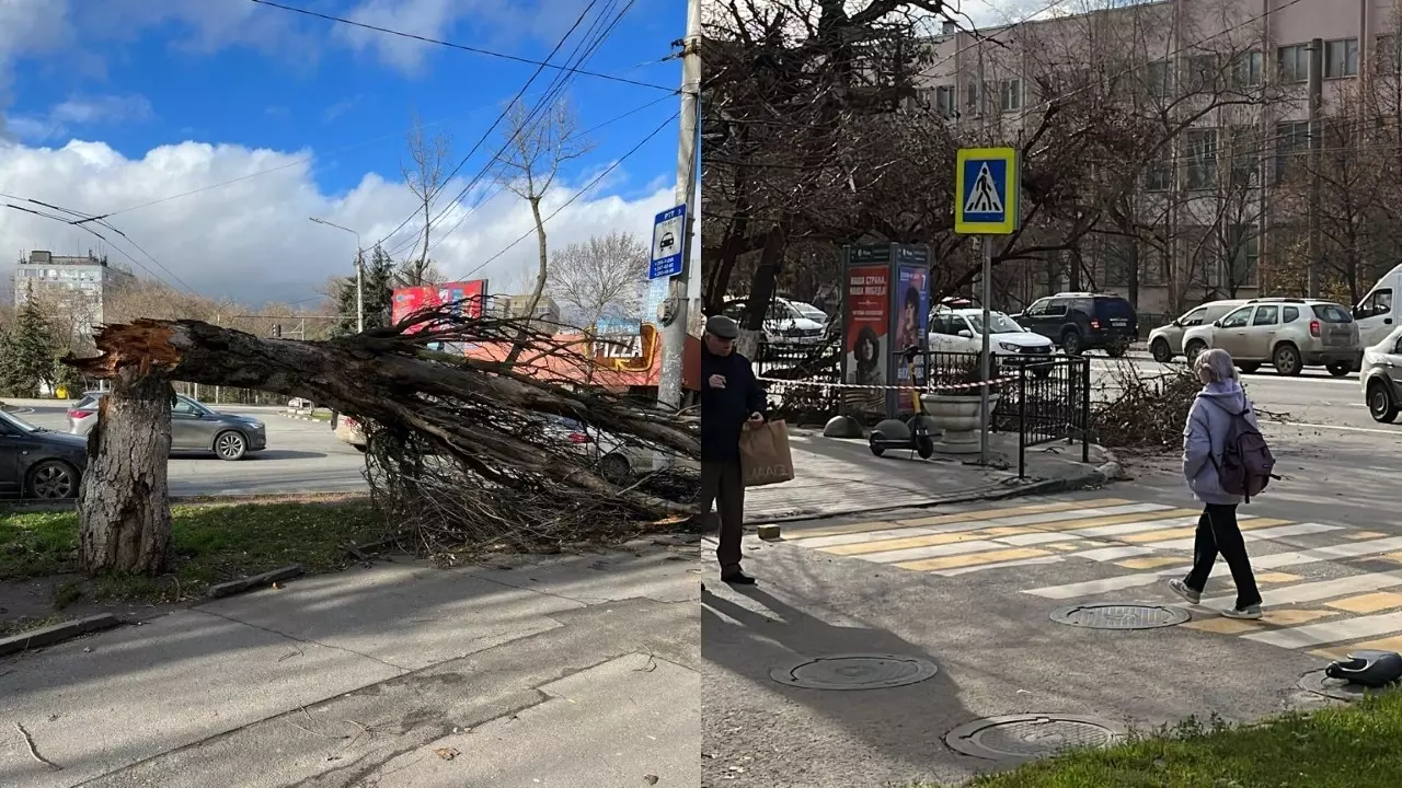 Фоторепортаж: последствия ураганного ветра в Ростове 27 ноября