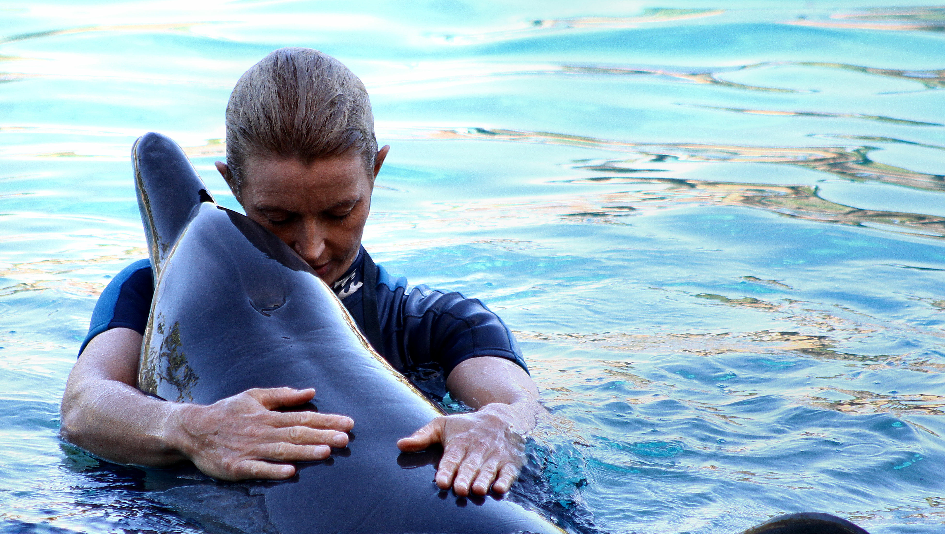 Биолог Баташев рассказал, стоит ли людям бояться дельфинов у берега Анапы