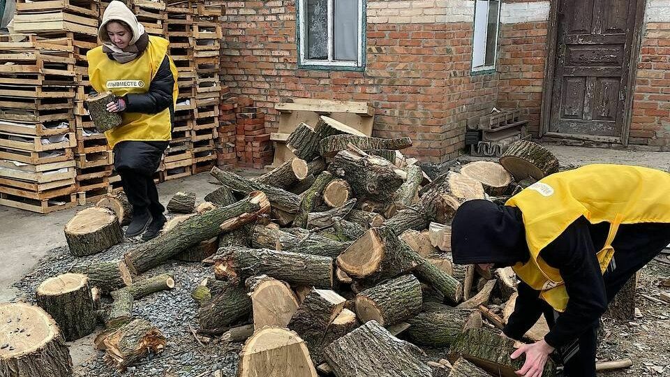 Семьям мобилизованных на Дону помогают рубить дрова и выгуливать животных