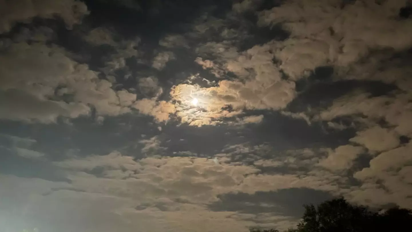 Частичное затмение Луны смогут увидеть ростовчане вечером 28 октября