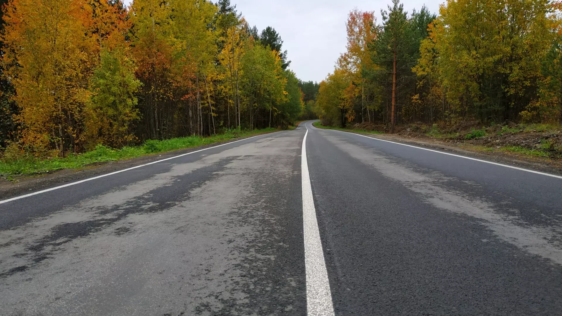На разметку дорог потратят 680 млн рублей в Ростовской области