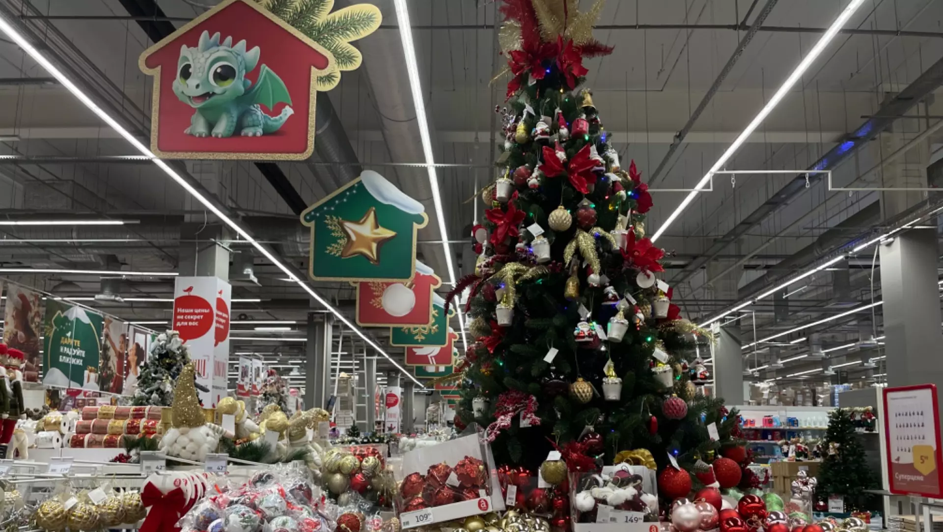 Стало известно, сколько будут стоить живые новогодние елки в Ростове