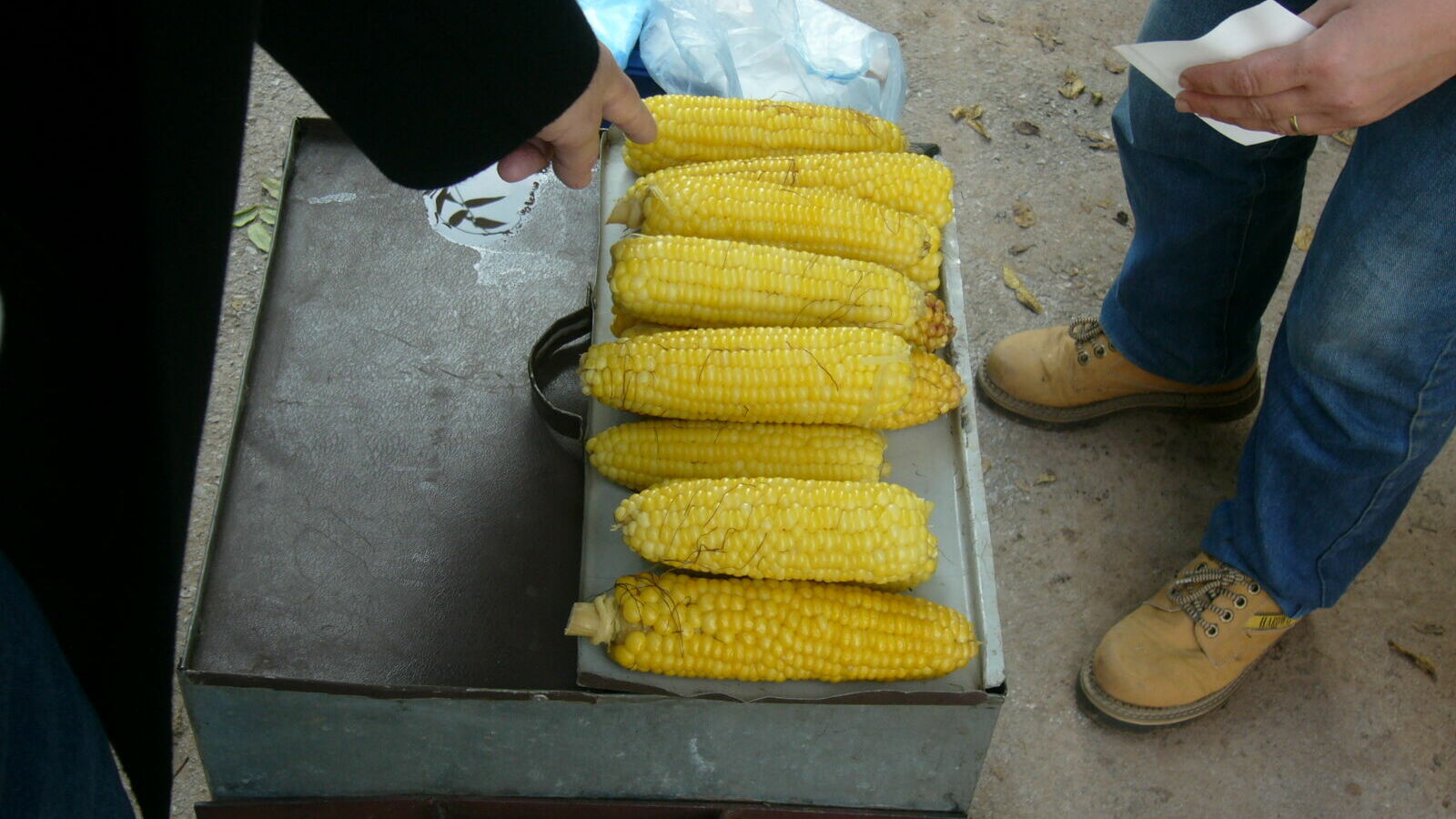 В Ростовской области опровергли информацию об опасной вареной кукурузе из Узбекистана