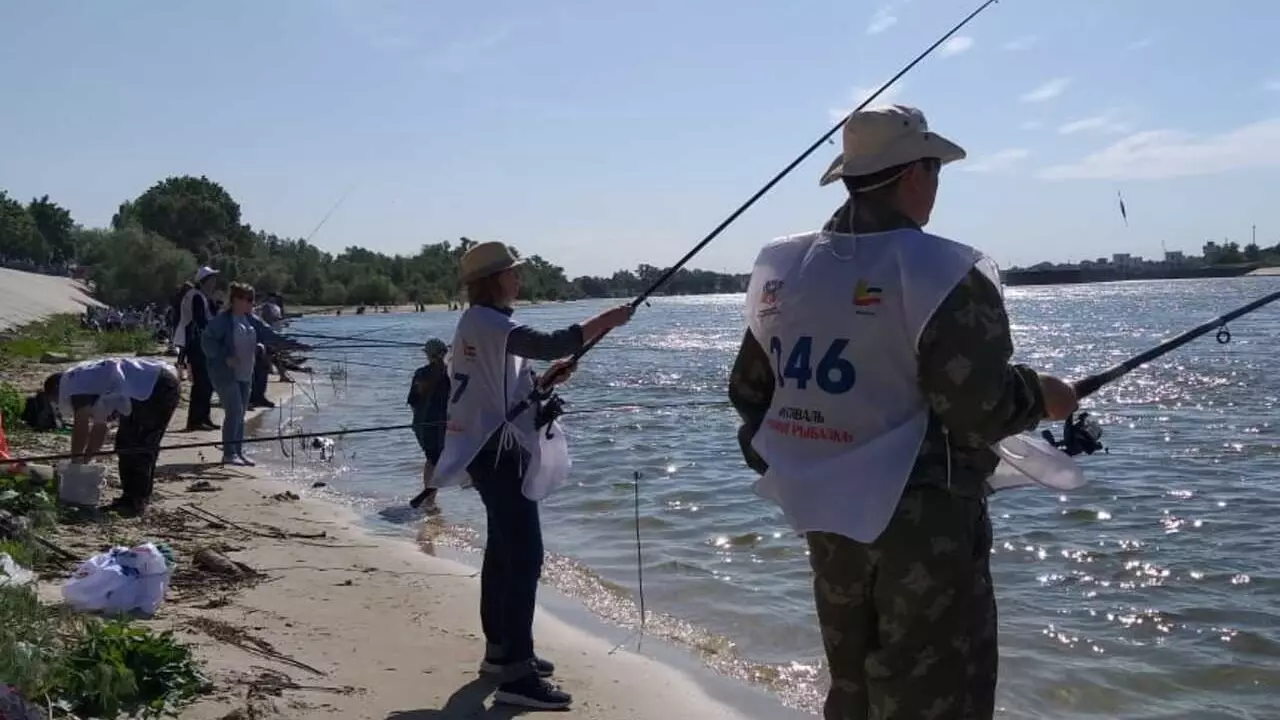 Запрет на вылов редкой рыбы шемаи могут снять в Ростовской области
