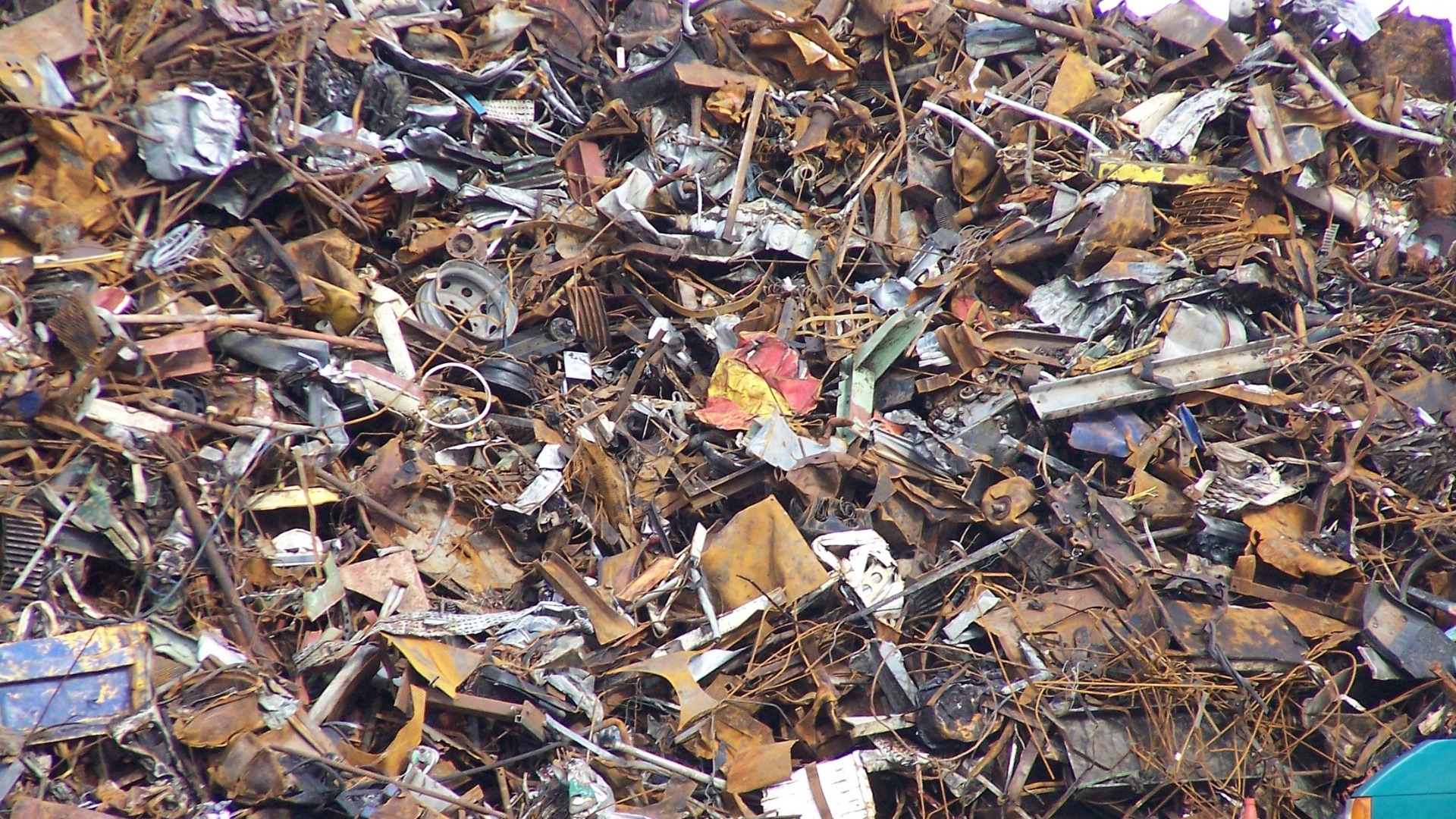 Экологи: Экотехнопарк спасет Липецкую область от переполнения мусорных полигонов
