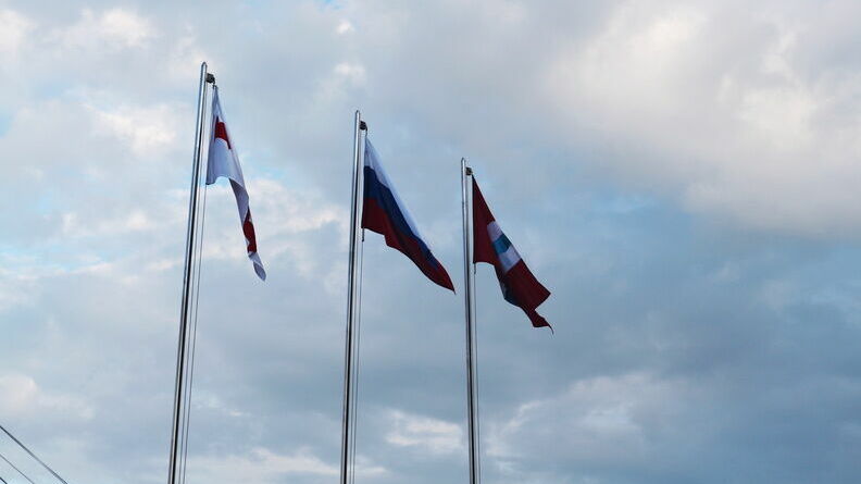 В Европарламенте показали флаг квазигосударства с Ростовской областью в составе
