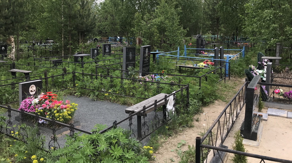 Самую высокую за десять лет смертность зафиксировали в Ростовской области