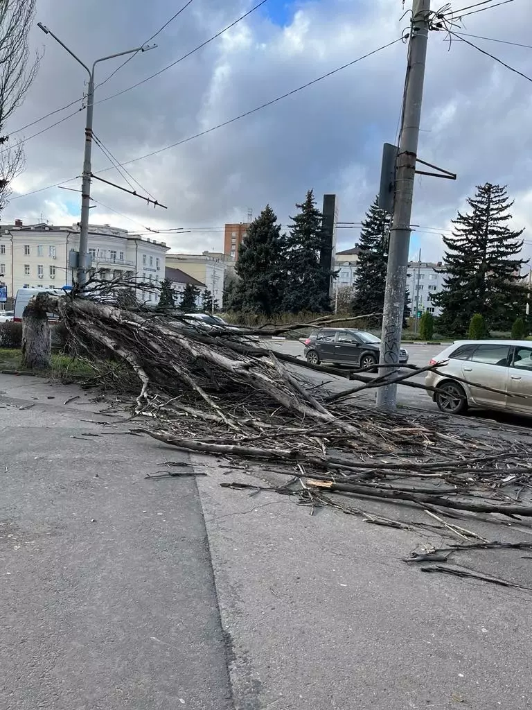 Ураганный веер в Ростове повалил деревья и дорожные знаки, фоторепортаж с места событий подготовил корреспондент RostovGazeta.