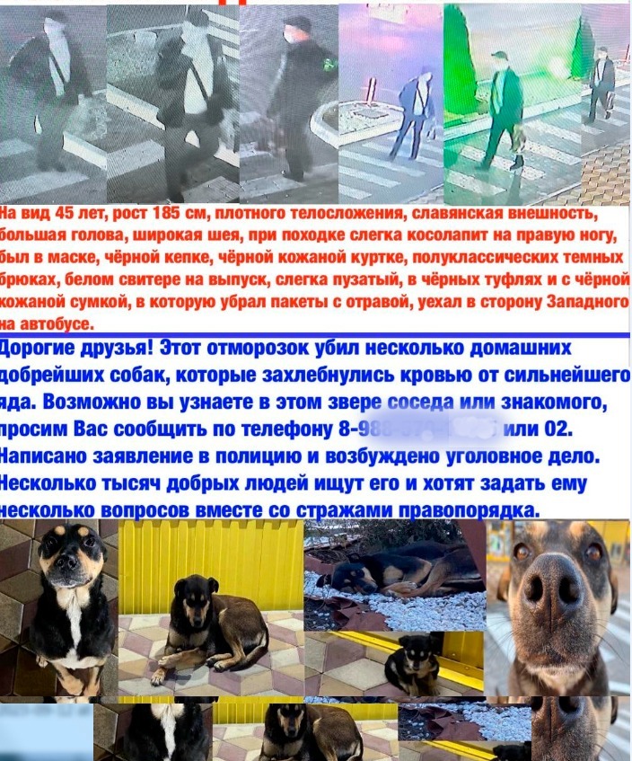 Этот же человек на Таганрогской, 181 в Ростове в 2020 году якобы тоже массово отравил собак. Его разыскивали. 