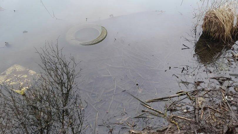 Эколог Лебедев рассказал, как в Можайский пруд в Ростове могли сбросить химикаты