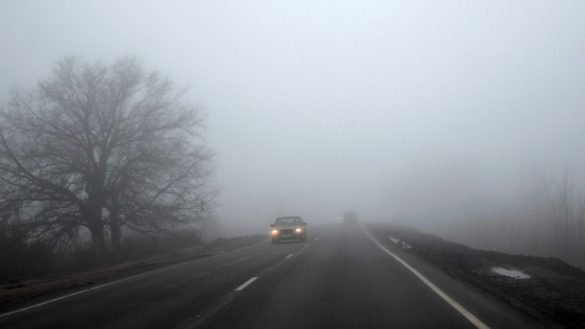 В зону сильного тумана попала Ростовская область 11 ноября