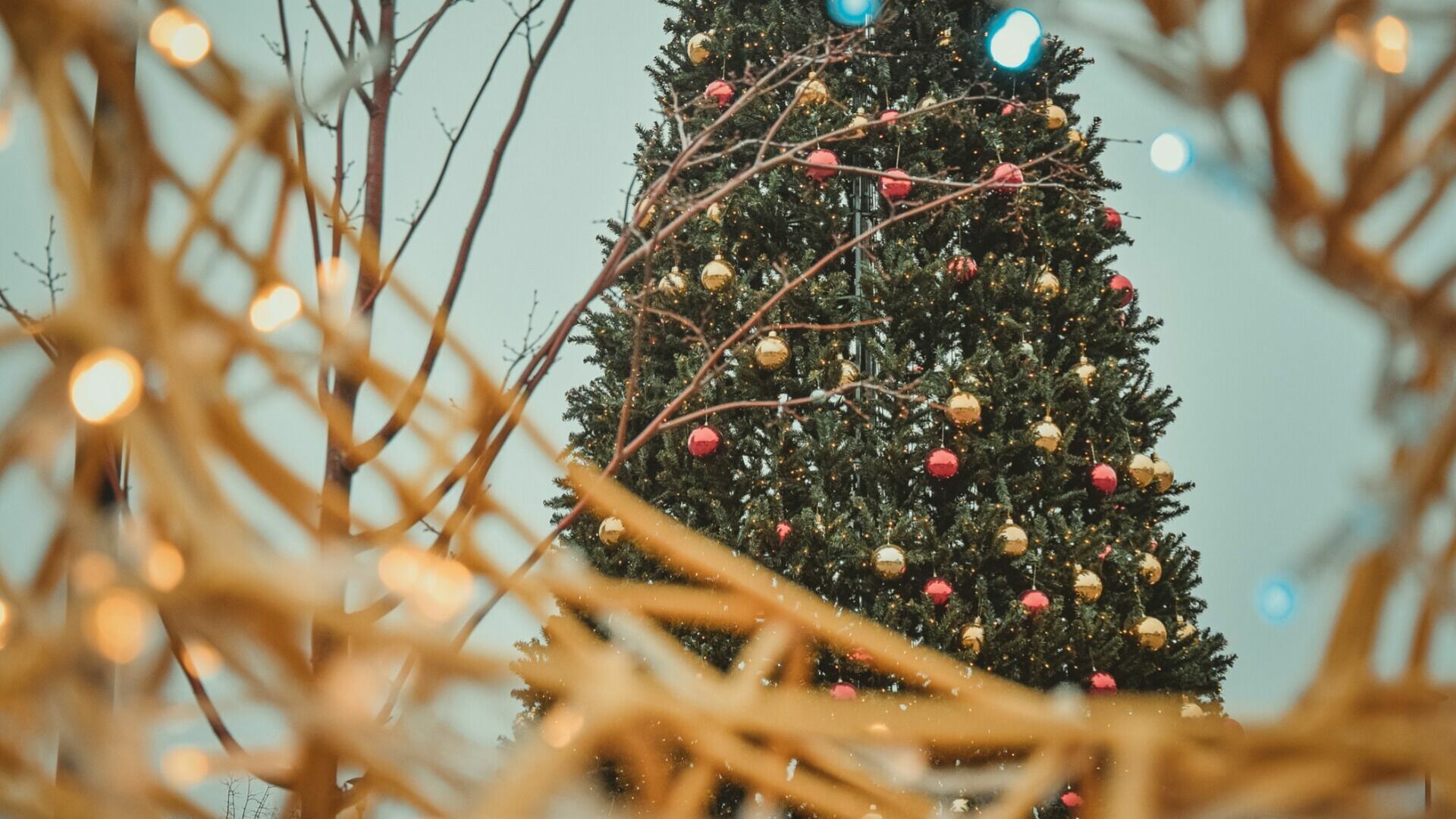 В администрации в Ростове опровергли закупку новогодних украшений к Новому году