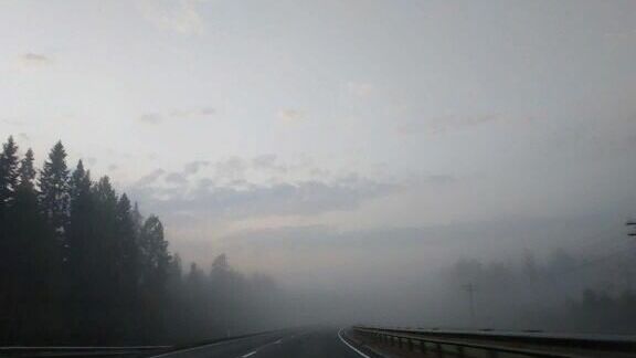 Водителей в Ростовской области призвали быть осторожнее из-за тумана 2 января