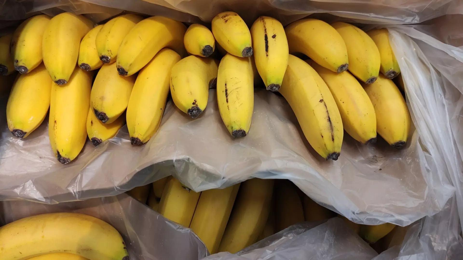 Где купить самые дешевые бананы в Ростове и как правильно выбирать