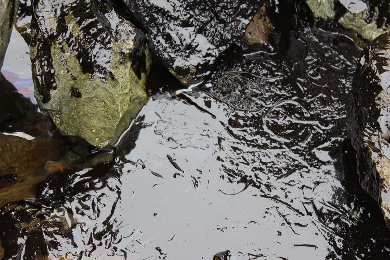 Росприроднадзор выявил загрязнение реки Дон нефтепродуктами в Ростовской области