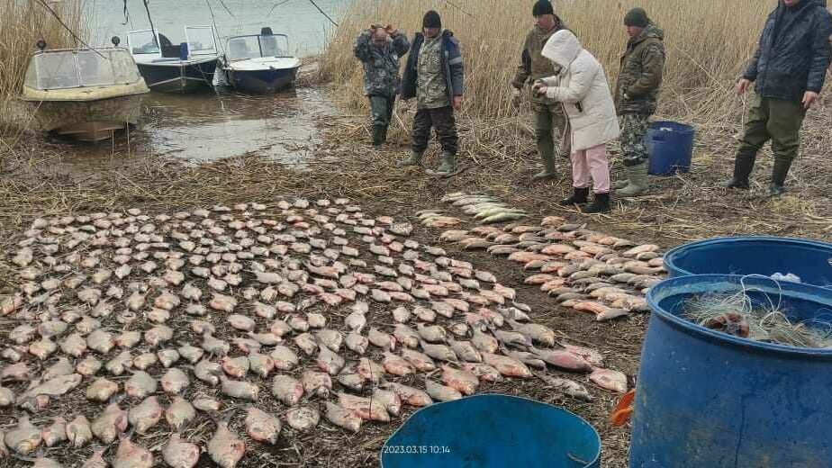 Браконьеры выловили краснокнижную рыбу в Ростовской области на пять миллионов рублей