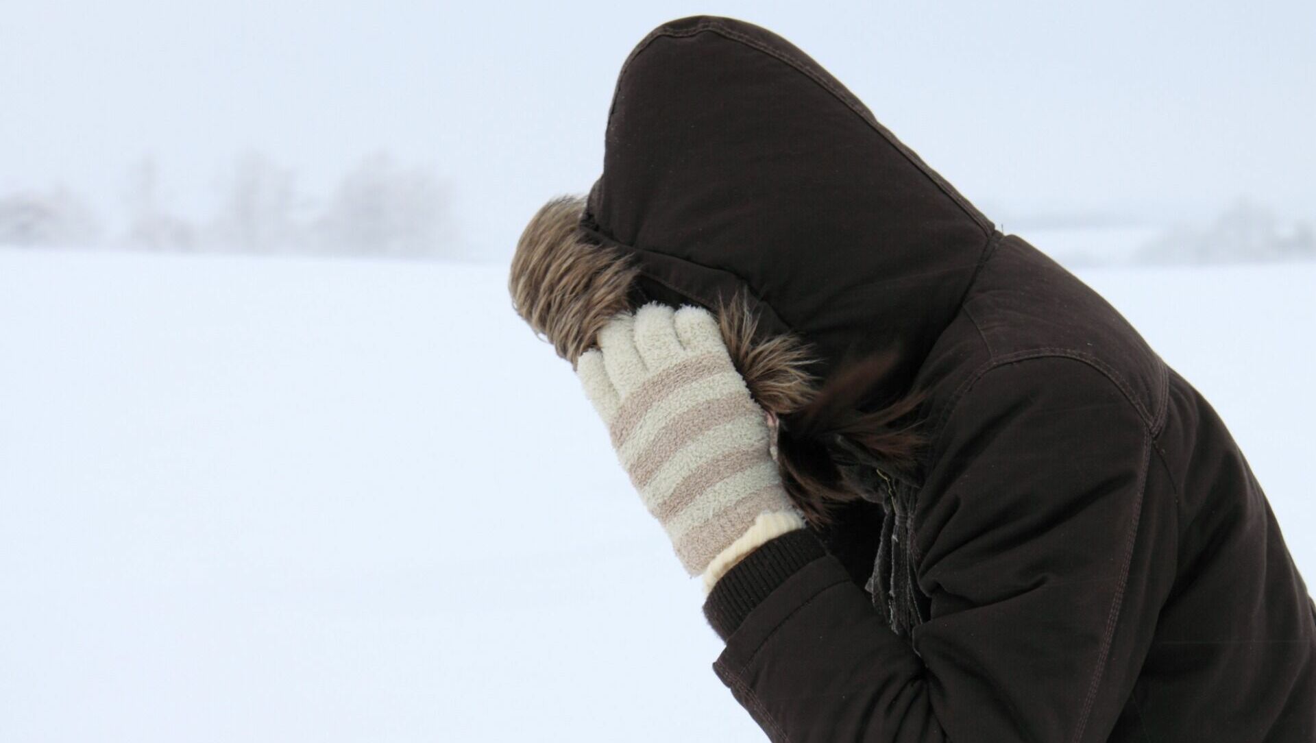 В Ростовской области ожидаются заморозки до -12 градусов 30 ноября