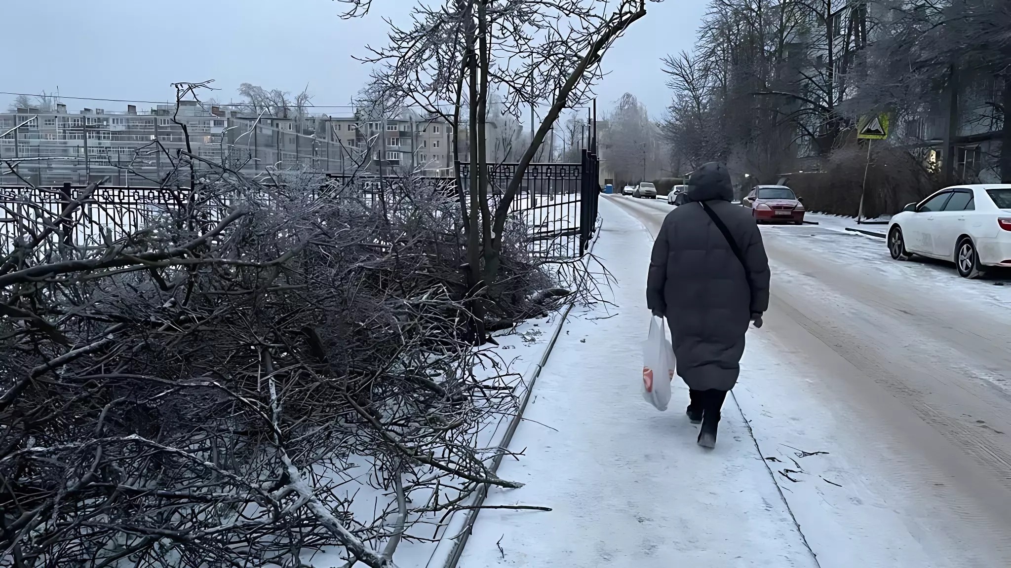 Из-за ледяного дождя троллейбусы и трамваи не могут выходить на маршруты в Ростове