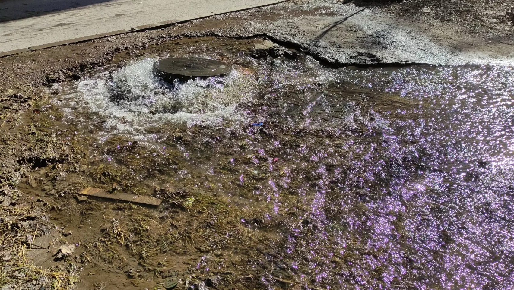 Фонтан воды бьет из люка на улице Каширской в Ростове