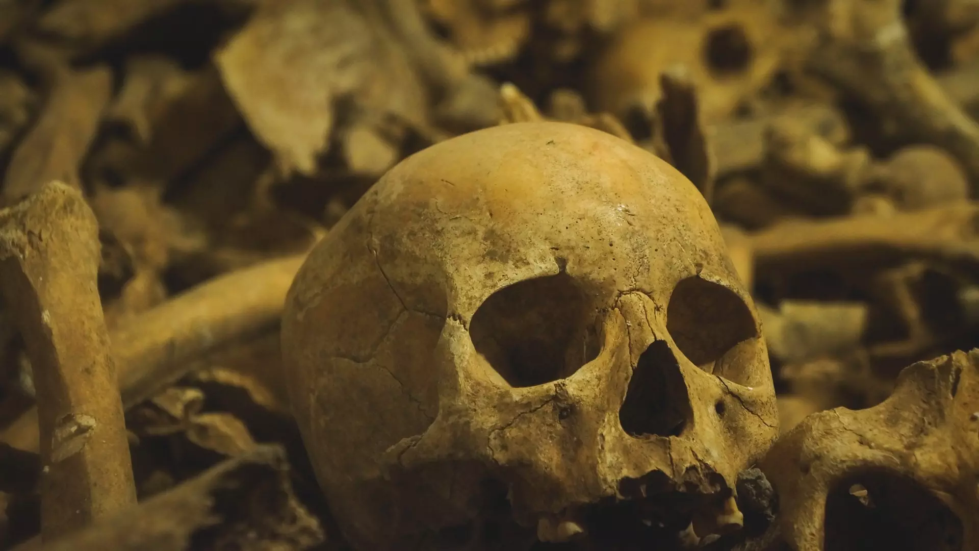 В Ростовской области нашли захоронение, которому 4 тысяч лет
