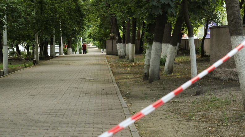 Ростовчане заявили о жестоком избиении мужчины в парке