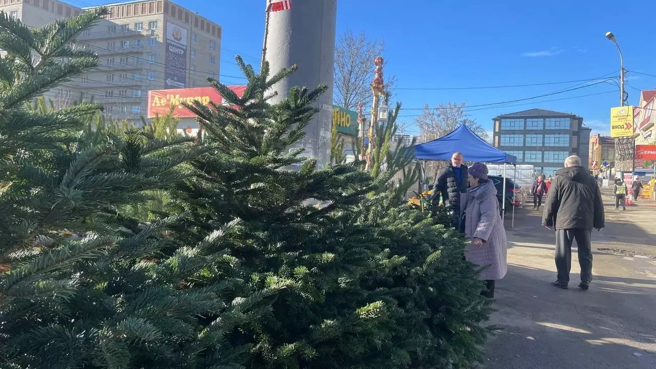 В Ростове открыли точки безотходной торговли новогодней атрибутикой