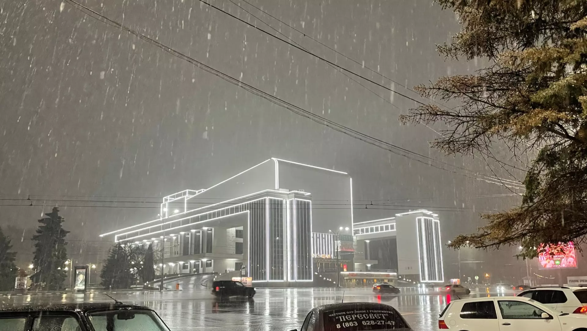 Ледяной дождь со штормовым ветром накроют Ростовскую область 25 декабря