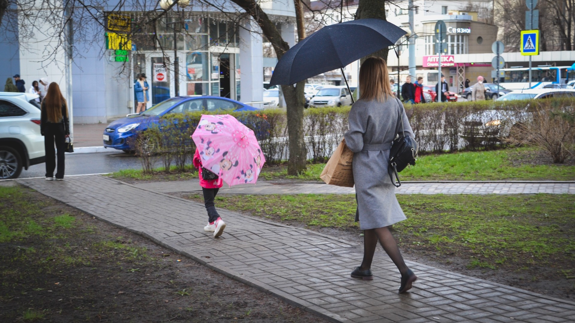 Дожди могут накрыть всю Ростовскую область в первые выходные сентября