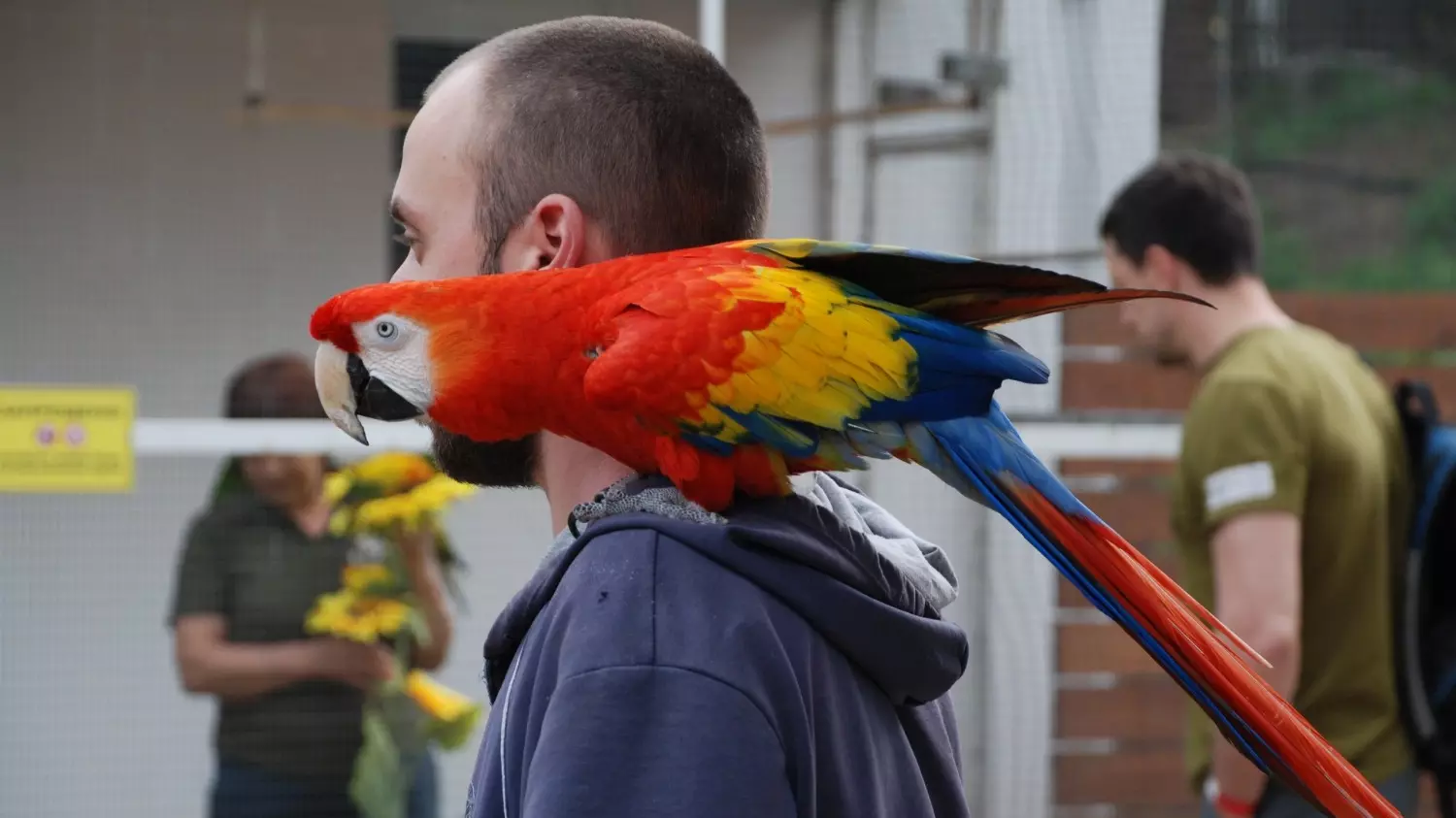 В качестве интересных мест для отдыха в Ростовской области, опрошенные туристы рекомендуют Южный парк птиц «Малинки». 
